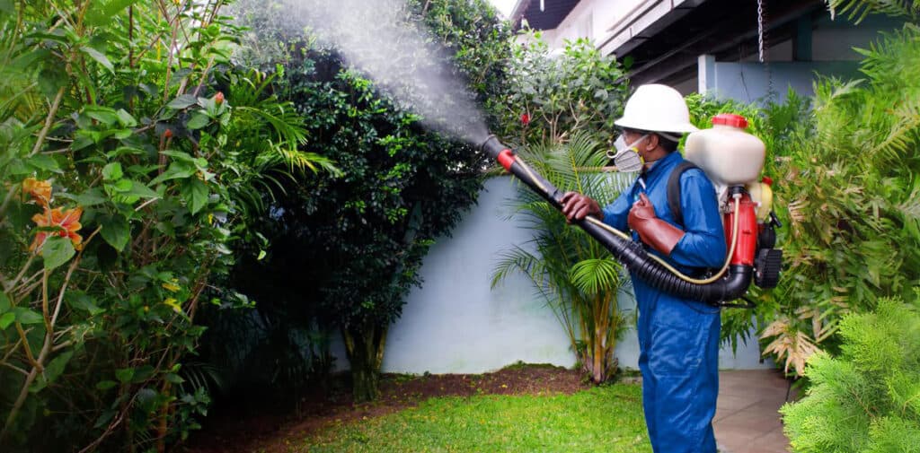 Fumigación, desinfección y desratización