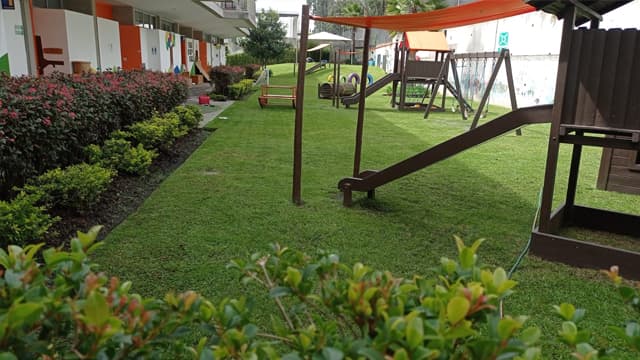 Limpieza y mantenimiento de áreas verdes